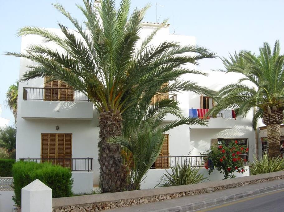 פלניטקס Rotonda Apartaments מראה חיצוני תמונה